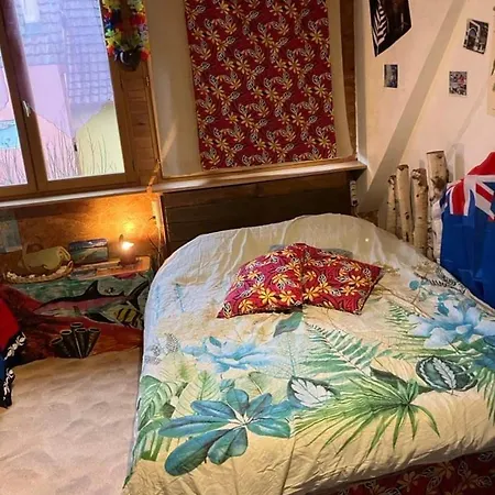 Rum i privatbostad Oceanie En Alsace *